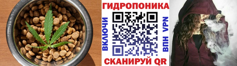 купить наркотик Салехард Еда ТГК марихуана