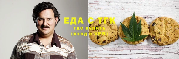 гашик Ельня