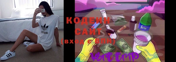 гашик Ельня