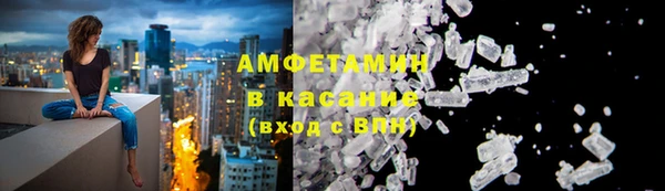 гашик Ельня