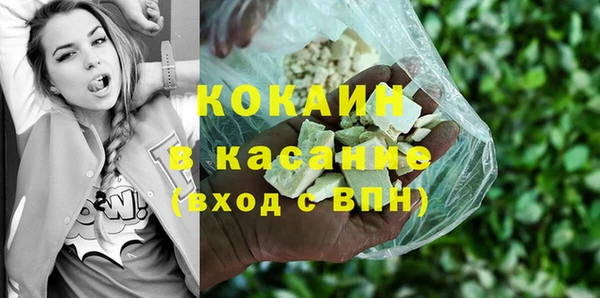 гашик Ельня