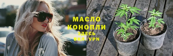 гашик Ельня