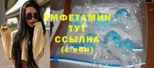 гашик Ельня