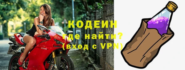 гашик Ельня