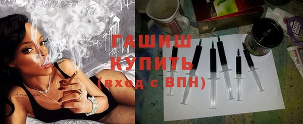 хмурый Дмитров