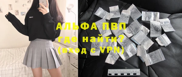 гашик Ельня