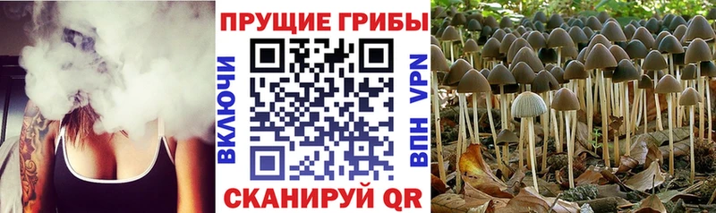 Псилоцибиновые грибы MAGIC MUSHROOMS Салехард